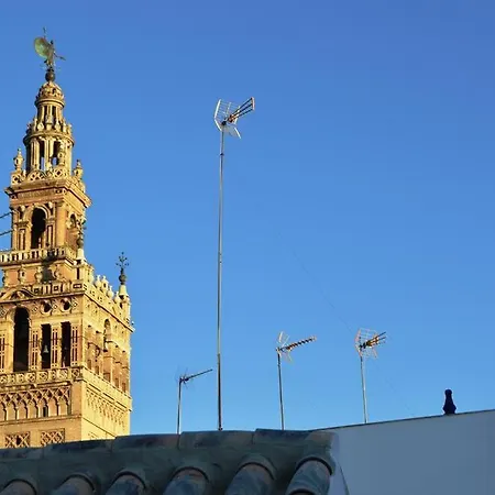 Stunning Attic With Private Terrace And Parking Optional Apartment Seville Exterior photo