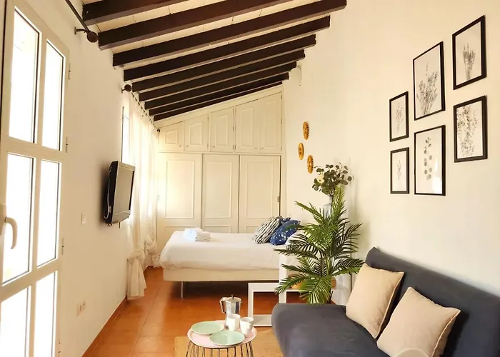 Stunning Attic With Private Terrace And Parking Optional